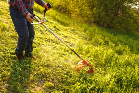 mowing trimmer - worker cutting grass in green yard at sunsetの写真素材