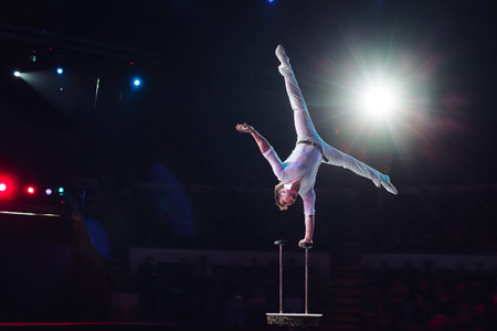 Mans aerial acrobatics in the Circus. Circus performance