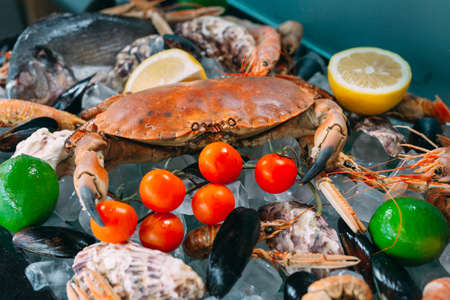 Seafood on ice. Crabs, sturgeon, shellfish, shrimp, Rapana, Dorado, on white ice.の写真素材