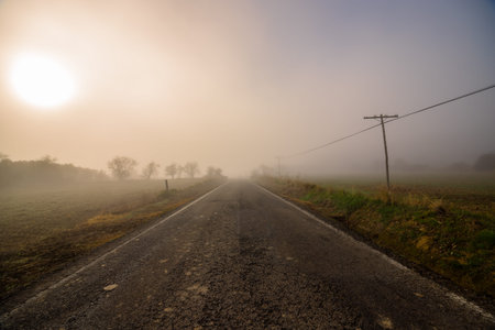 Lonely road with fog in winter