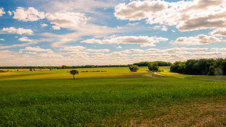 Green field with blue sky and cloudsの写真素材