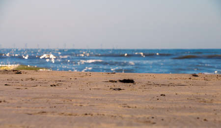 Lonely beach in the summerの写真素材