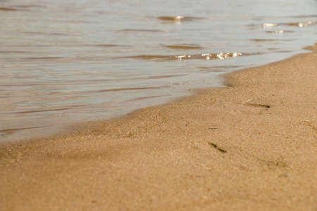Lonely beach in the summerの写真素材