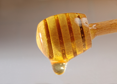 Honey dripping from a wooden honey with gradient backgroundの写真素材