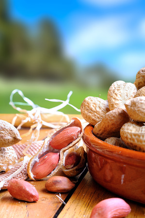 Group of healthy peanuts shelled and unshelled exposed on a wooden table in the field vertical compositionの写真素材