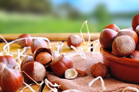 Group of appetizing hazelnuts in shell and shelled on a wooden table in field front viewの写真素材
