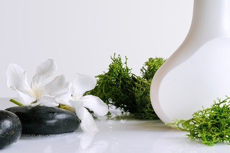 beauty product with seaweed in white container on a white glass table. Isolatedの写真素材