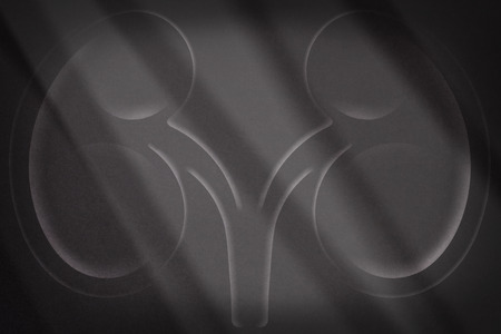 Medical background on the kidney with two kidneys and gray gradient background with white lightsの写真素材