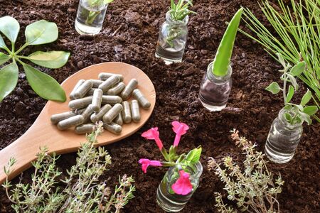 Jars with plants inside and spoon with capsules on soil. Alternative natural medicine concept. Elevated view. Horizontal composition.の写真素材