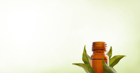 Natural medicine background with brown glass jar with healing essence of plants and fresh leaves around with green gradient isolated background. Horizontal composition. Front view.の写真素材