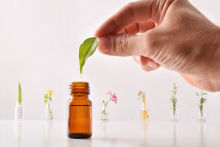 Natural medicine concept with hand with leaf and drop falling into glass jar and bottles with plant essence on table and white background. Horizontal composition. Front view.の写真素材