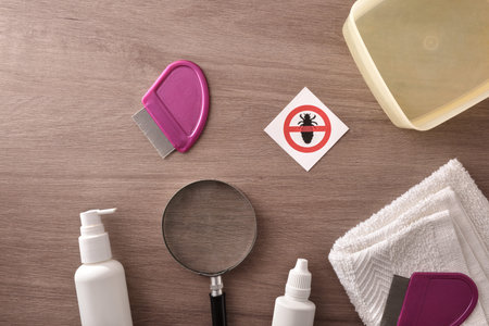 Products and equipment for treating lice on a wood table. Horizontal composition. Top view