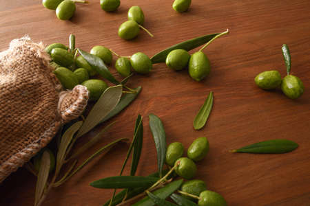 Sack of harvest raw olives on wooden table with leaves and containers. Top view.の写真素材