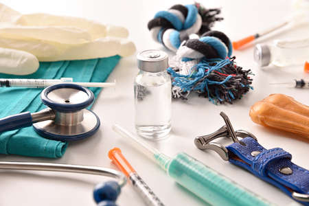 Background with tools for canine vaccination with dog accessories. Elevated view. Horizontal composition.の写真素材