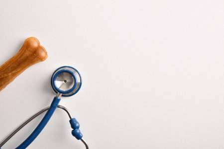 Veterinary background with stethoscope and bone on white base. Top view. Horizontal composition.の写真素材