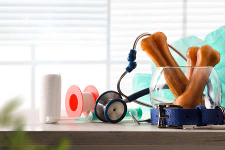 Veterinary material for cures, and dog accessories on wood table and window background. Front view. Horizontal composition.の写真素材