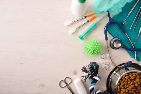 Background with table with supply for veterinarians with medical and surgical supplies and dog accessories. Top view. Horizontal composition.の写真素材