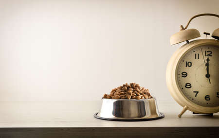Time to eat with bowl full of dry pet food and clock beside it on wooden table and light isolated background. Front view. Horizontal composition.の写真素材