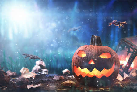 Halloween with carved and illuminated pumpkin with spiders at night in forest blue. Front view. Horizontal composition.の写真素材