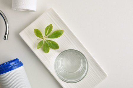 Set of domestic reverse osmosis filters and glass with purified water on a plate with green leaves...