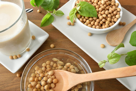 Preparing soy drink at home with soaked dry beans and various kitchen items on rustic wooden table. top view.の写真素材