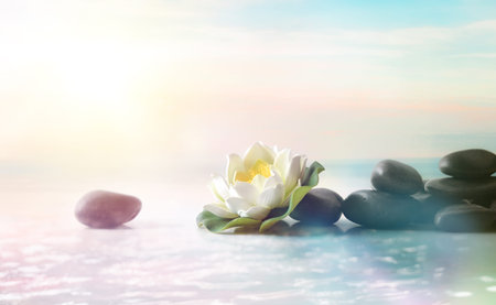 Water lily design with black stones reflected in the water with pink and blue clouds background....
