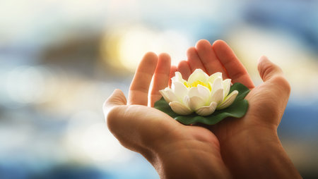 Hands holding a white water lily with water background and sun shine. Concept of purity and well-being.の写真素材