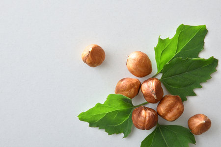 Group of shelled hazelnuts and leaves isolated on white background. Top view.の写真素材