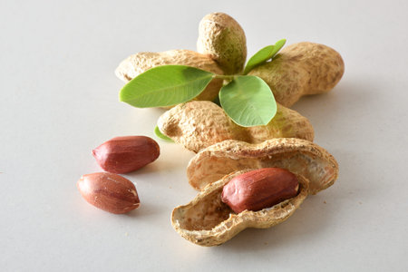 Detail of a group of peeled and unpeeled peanuts with leaves isolated on a white table. Elevated...