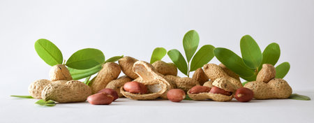 Detail of a row of peeled and unpeeled peanuts with leaves on a white table and white isolated...