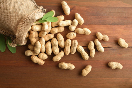 Cloth sack filled with peanuts with skin scattered on a rustic wooden table and leaves of the fruit...