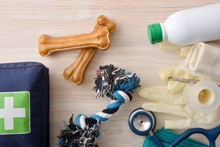 Top view of dog first aid supplies with bandages, gloves, disinfectant, stethoscope, and chew toys...