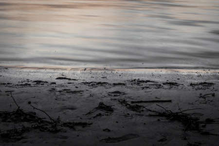 Beach of the Danube Riverの写真素材