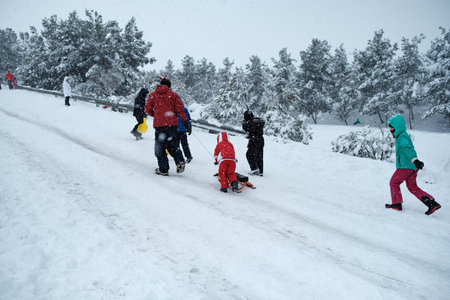 Father and son walking uphill on highway with sleight forest background during Filomena snow storm in Madridの写真素材
