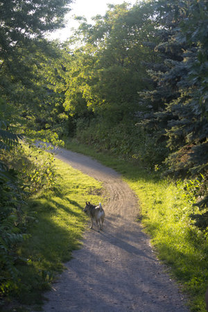 Path