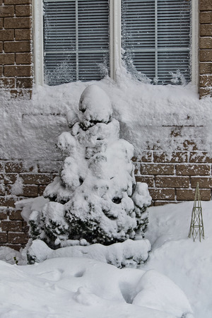 snow on Windowの写真素材