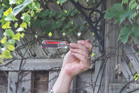 Screwの写真素材