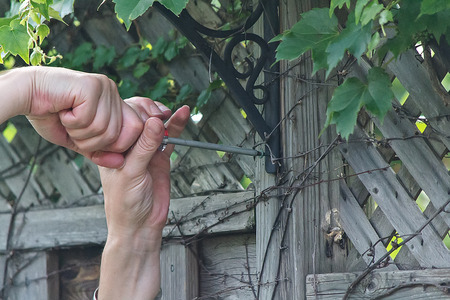 Screwの写真素材