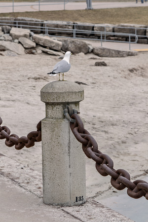Chainの写真素材