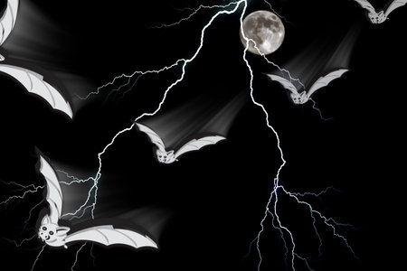 Bats