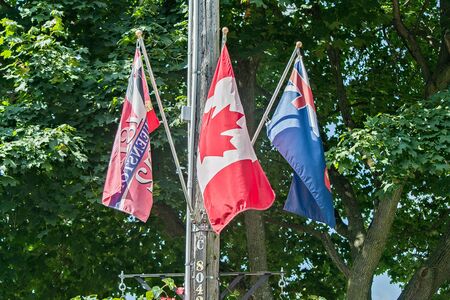 Flags on a poleの写真素材
