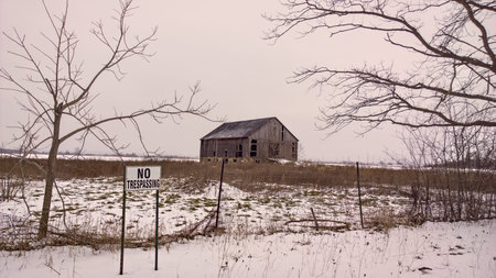 Deserted Homestead