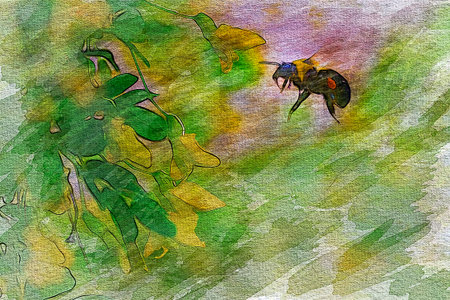 Watercolor Bumble Beeの写真素材