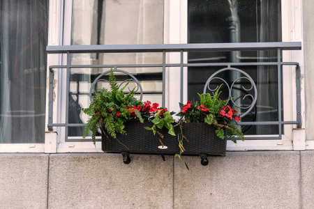 Decorationの写真素材