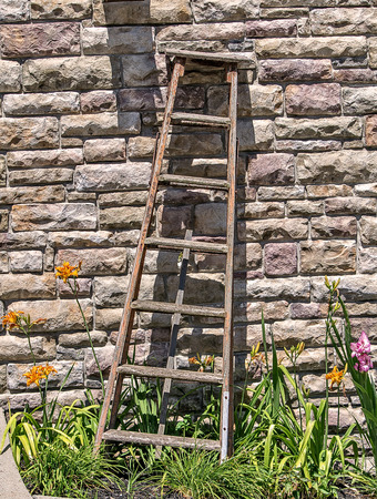 Stepladderの写真素材