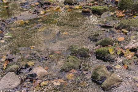 stream