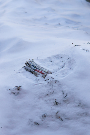 Newspaper delivery on snowing morningの写真素材