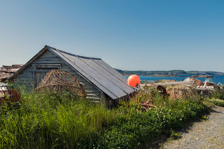 A rural lobster hut overgrown in grassの写真素材