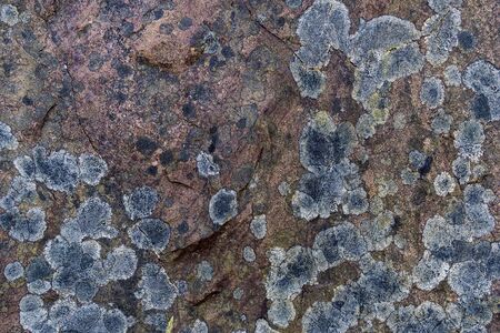 a rock formation as web backgroundの写真素材