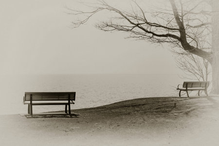 A lonely view of social isolation during pandemic and covid 19の写真素材